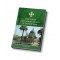 Directory of the Catholic Church in the Holy Land 