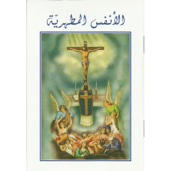 الانفس المطهرية الانفس المطهرية