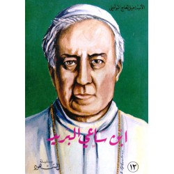 ابن ساعي البريد (سلسلة الشهود 12) ابن ساعي البريد (سلسلة الشهود 12)