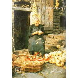 أمهات كهنة (سلسلة الشهود 60)