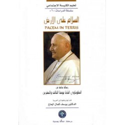 السلام على الارض - تعليم الكنيسة الاجتماعي
