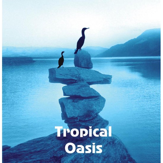 Tropical Oasis Tropical Oasis