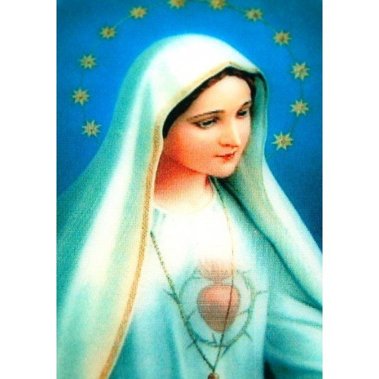 صورة متقلبة بلاستيك 