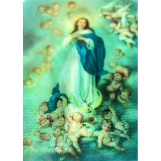 صورة متقلبة بلاستيك  صورة متقلبة بلاستيك